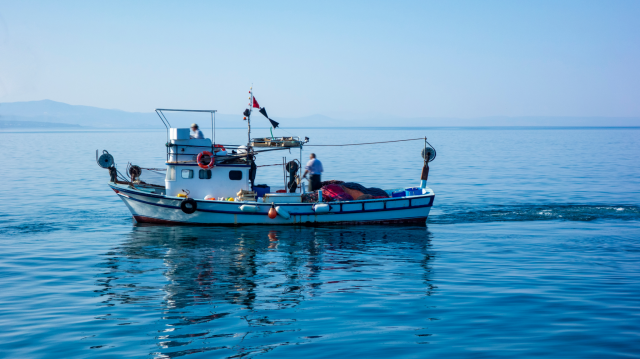 Experience Cambrils - See the fishing boats arrive at the port